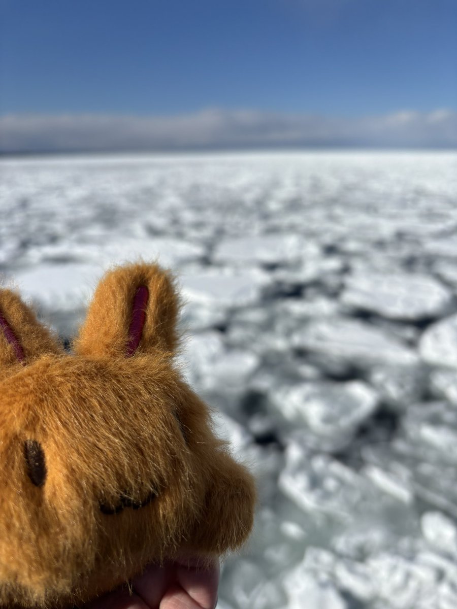Visdon's tweet image. 流氷砕氷船おーろらに乗って流氷見てきました
元々はガリンコ号の予定だったけど今日は強風で運行休止。ワンチャン当日券狙いで行ってよかった！