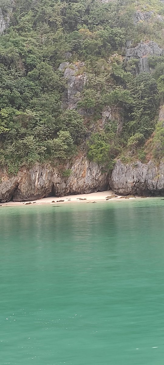 iradeliyay's tweet photo. Günaydın Vietnam #catba https://t.co/8Kt1BHgkSR