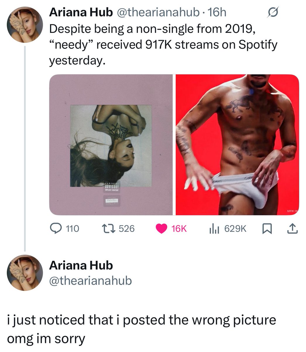 arianators wildin (@arianatorswildt) on Twitter photo 