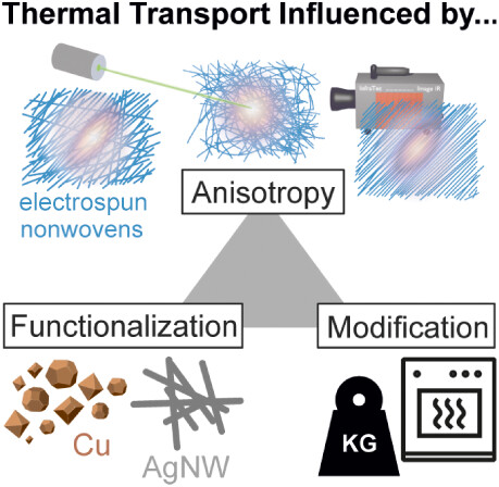 CRC 1585 MultiTrans tweet media