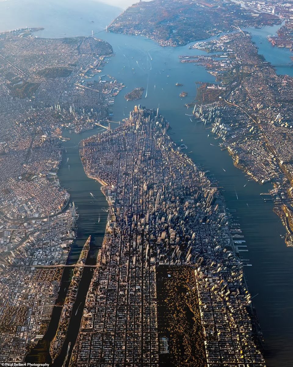 emily north tweet media