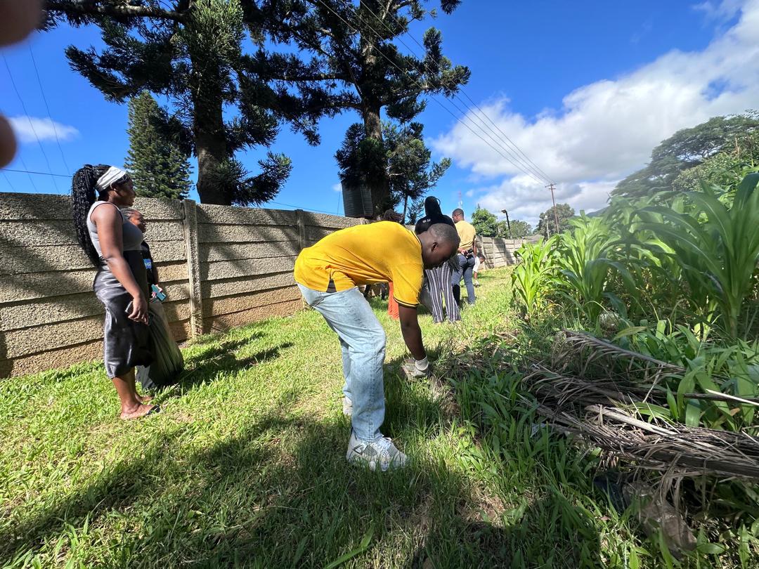 FACT Zimbabwe tweet media