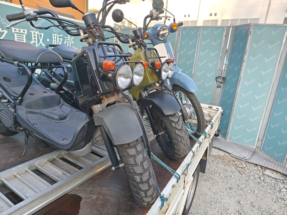 オークションで仕入れて来ました！ カブはファイナルエディションの未