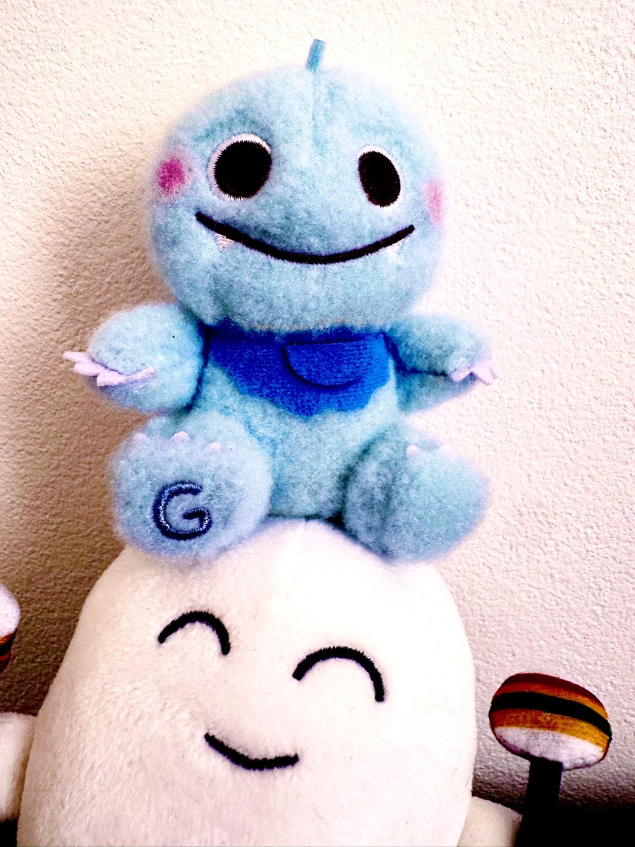 頑固ちゃんのこいつ可愛くて好き🙂‍↕️👍