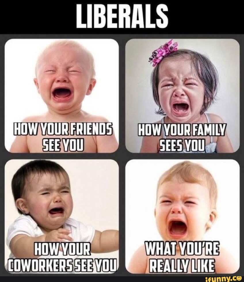 AFOTHEWAYTOGO's tweet photo. #BanDemocrats https://t.co/dfeZV0z5kR