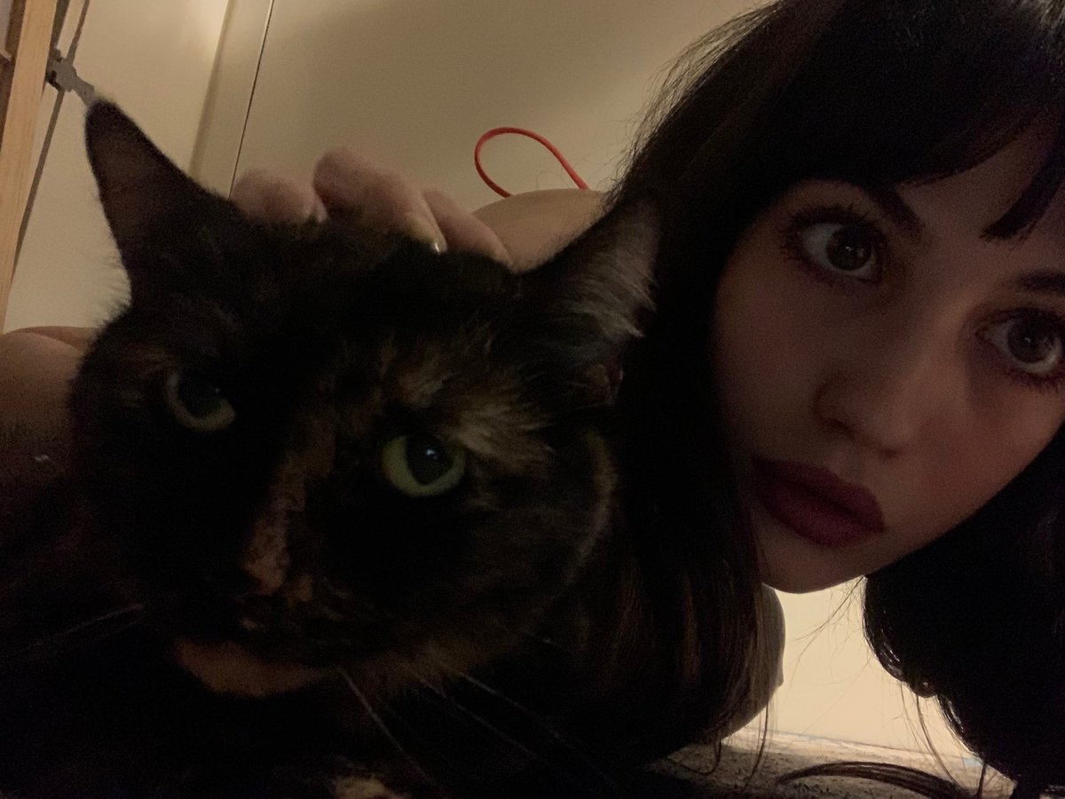 reaIsnowhite's tweet image. #meow