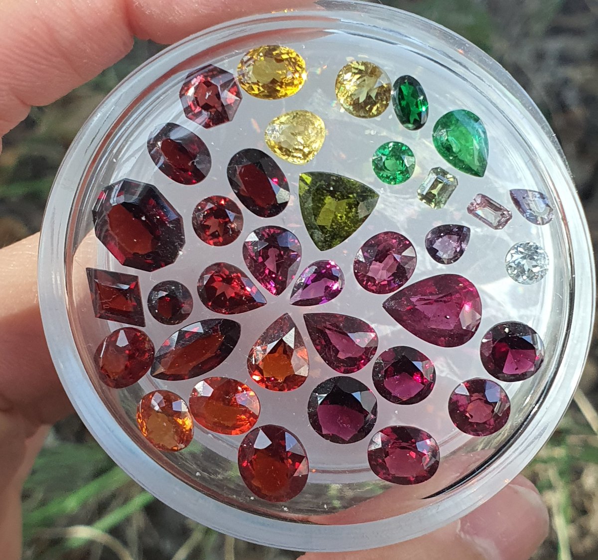 👑히메로파💎🐙🎮🃏 tweet media