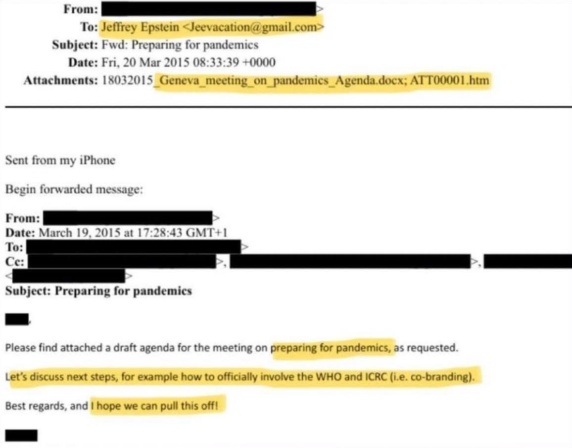 OG Cars Garlic tweet media