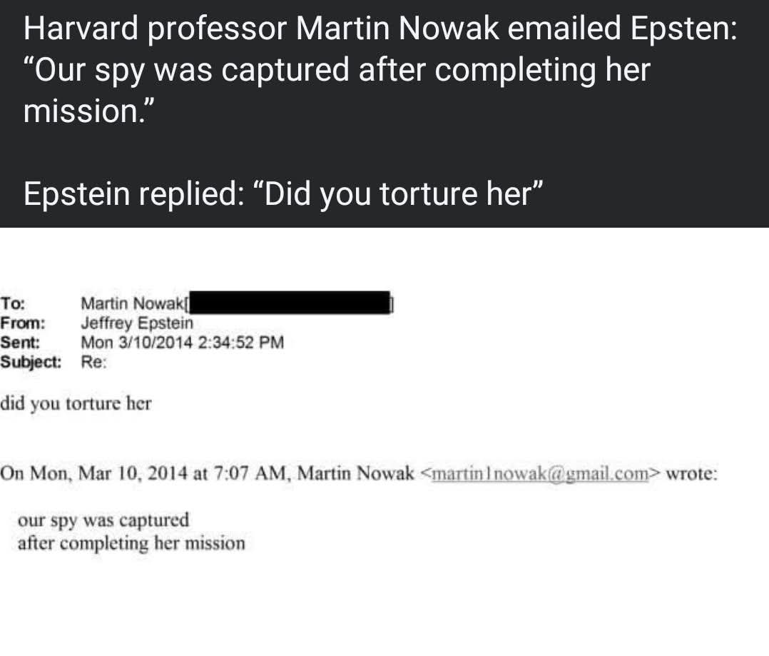 OG Cars Garlic tweet media