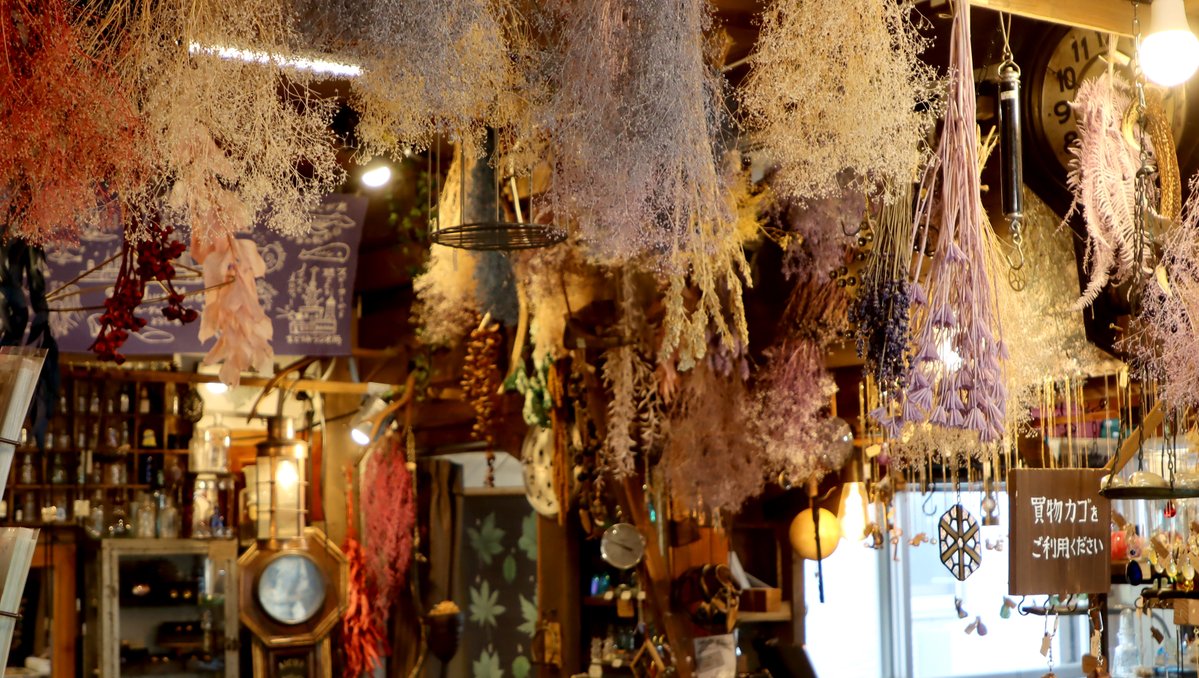 お店の色んな所にある、かわいいドライフラワー💐