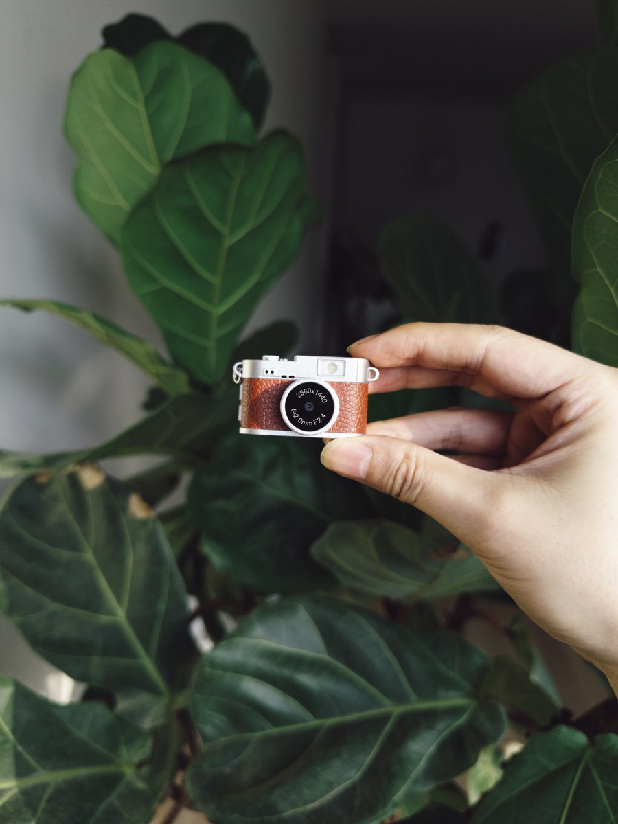 Lisheng Chang tweet media