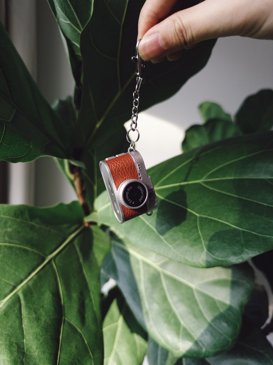 Lisheng Chang tweet media