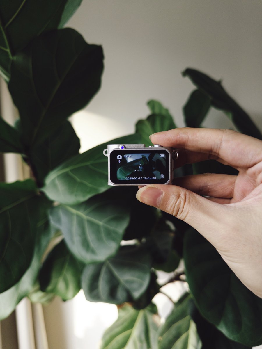 Lisheng Chang tweet media