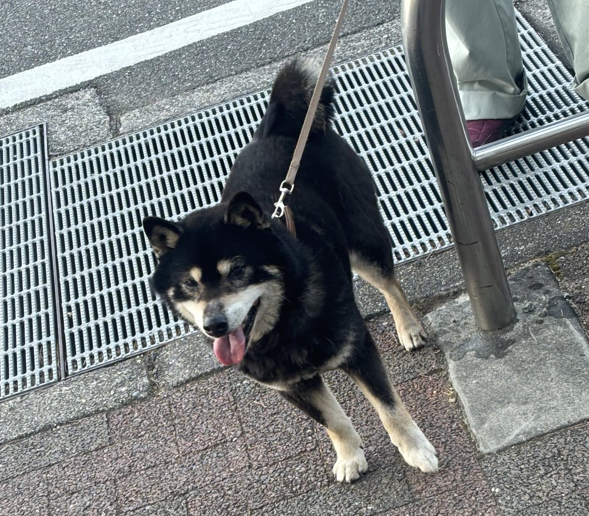 小瀬スポーツ公園内で犬を保護しました。
お心当たりがある方は小瀬スポーツ公園体育館までご連絡をお願いいたします。

電話番号:055-243-3112
