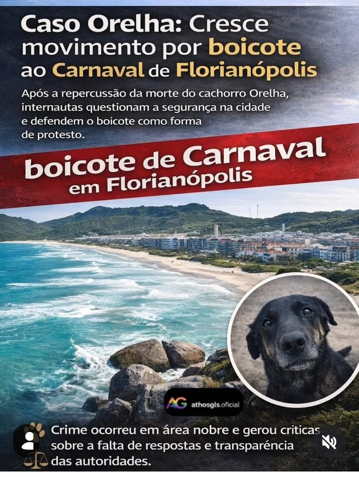 BOICOTE DE CARNAVAL EM FLORIANÓPOLIS 👇