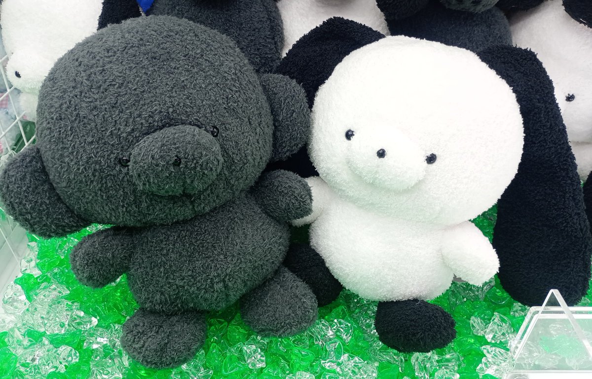 ୨୧‥∵‥‥∵‥‥∵‥‥∵‥୨୧ 🐾じょせまる🐾 ୨୧‥∵‥‥∵‥‥∵‥‥∵‥୨୧