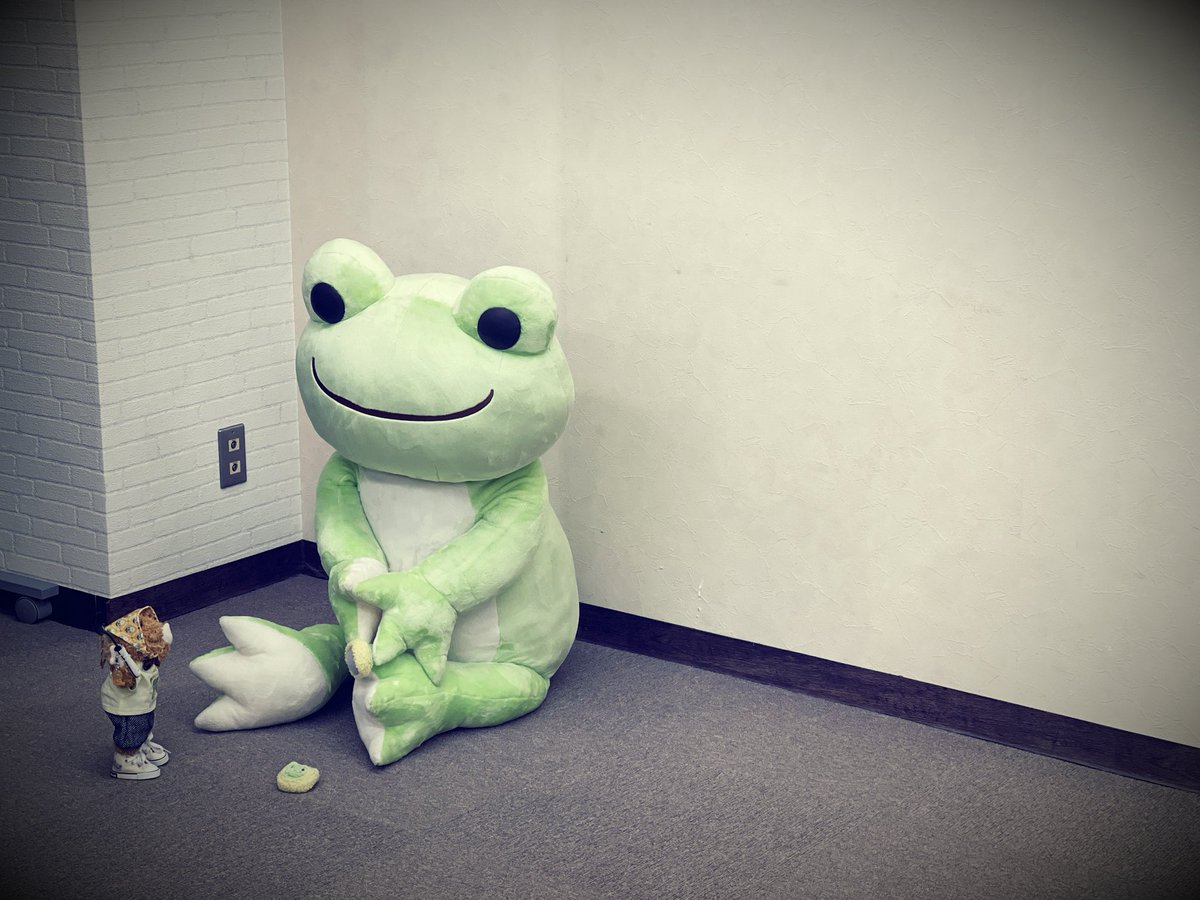かえるのピクルス/pickles the frog (@picklesthefrog6) / Posts / X