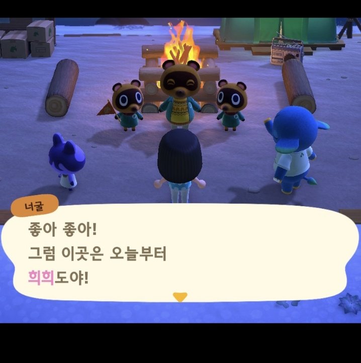 이거 하려고 모동 숲 샀어요