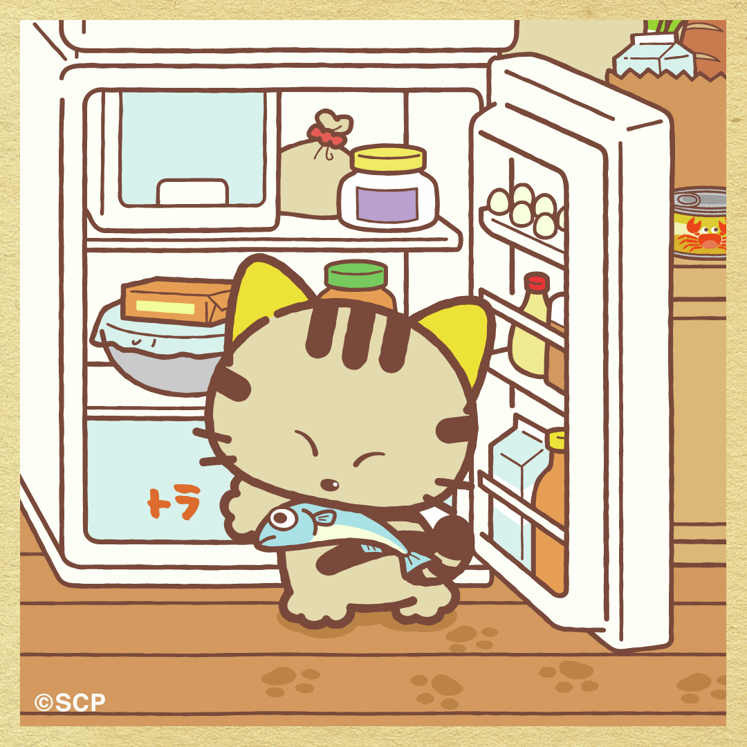 みたぞ〜〜〜〜👀