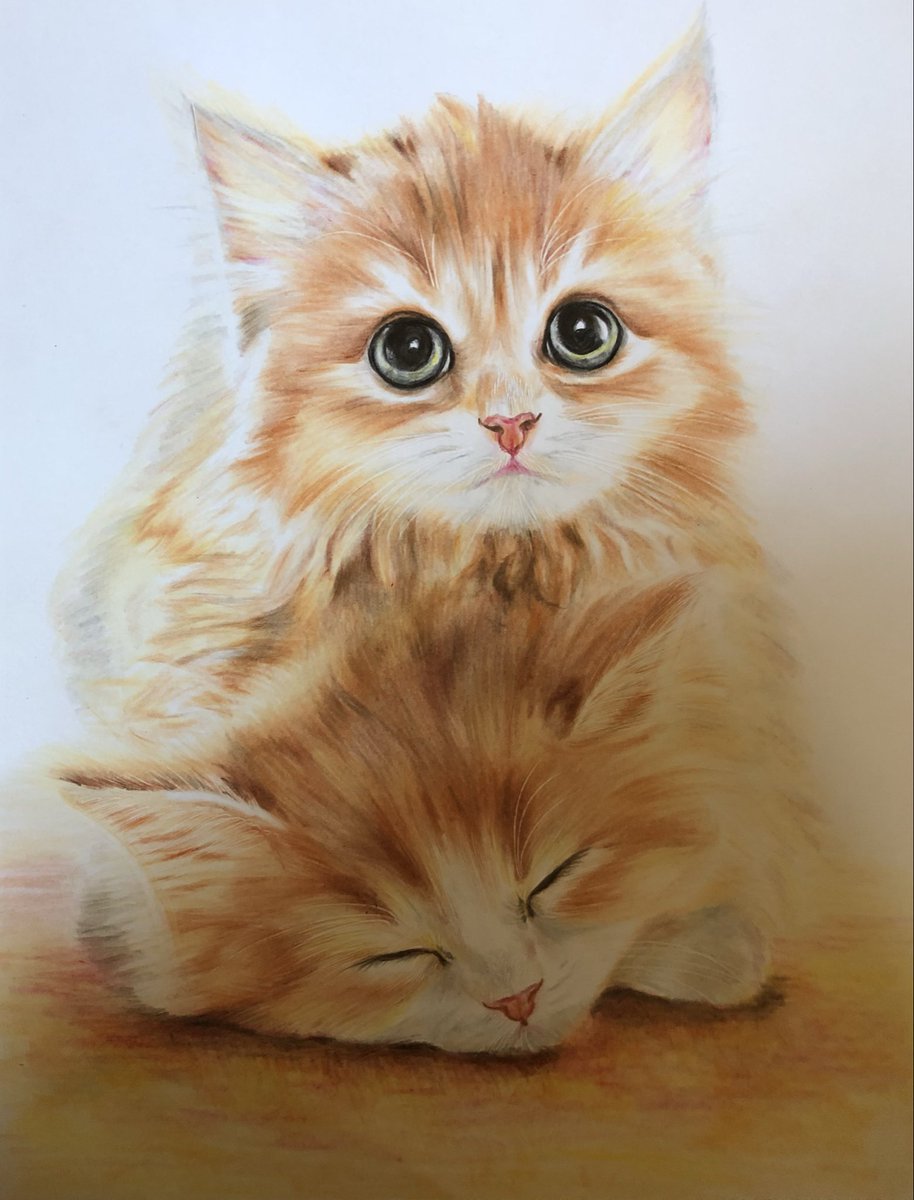 このタグを見た人は黙って猫を貼る #色鉛筆画 （過去絵）