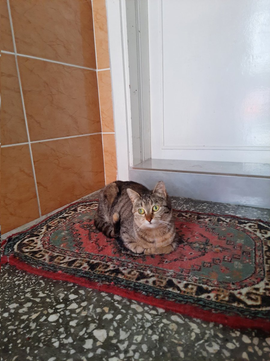 - oturmuşim kemdimi yufami bekliyim