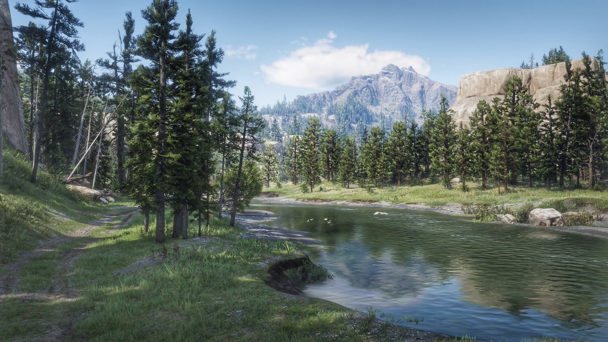 CBVP 📸 Virtual Photography tweet media