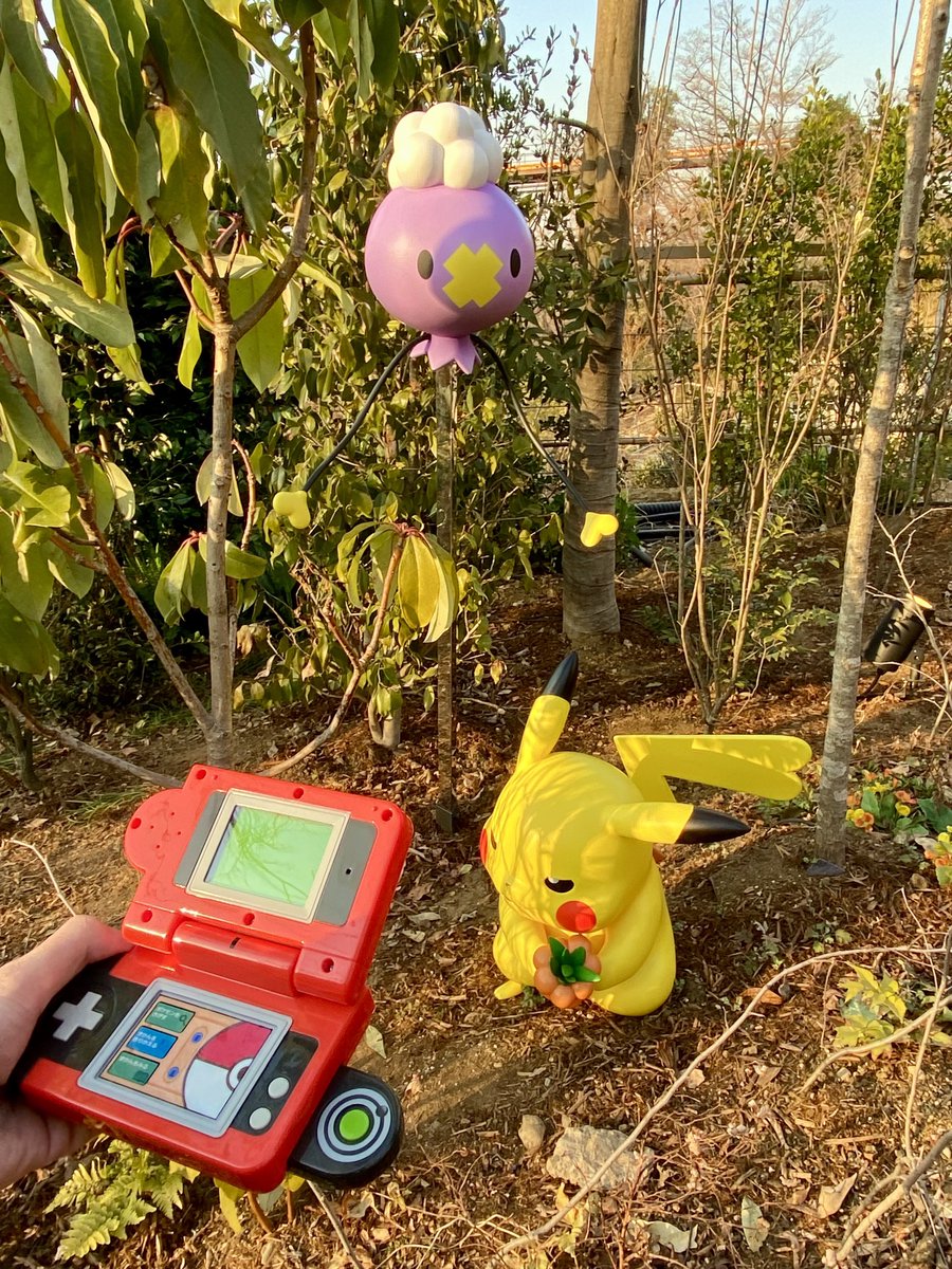 昨日ピカチュウの森にフワンテいなかったよね！？
もしかして金曜日だからやって来た！？！！😭😭
#ポケパークカントー