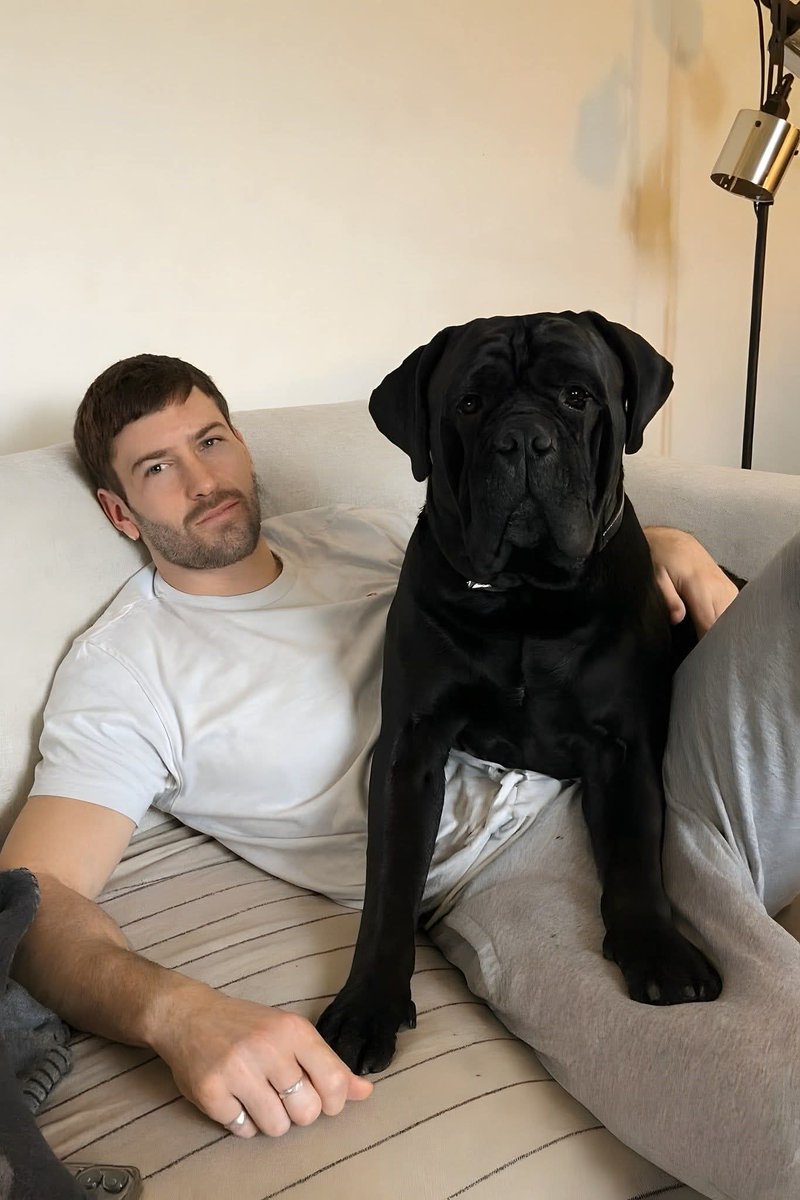 After my husband's college reunion, we were enjoying a “Feel Better” meal at Waffle House.

As we walked out into the parking lot, a deep, desperate bark stopped me in my tracks.
In the back of a pickup truck sat a massive blue gray Cane Corso, locked inside a crate, eyes wide,
