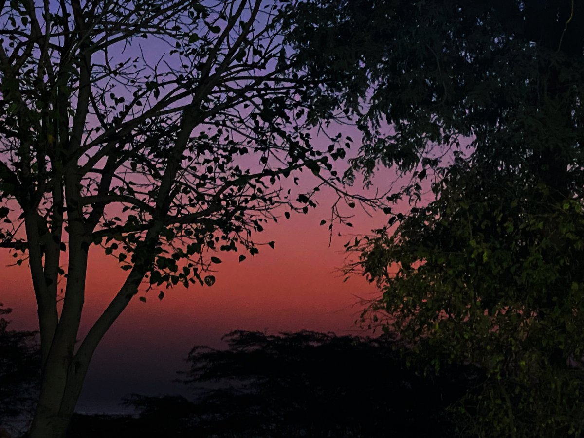mansebanjaran's tweet photo. soft glow https://t.co/dZsa5Xd9W8