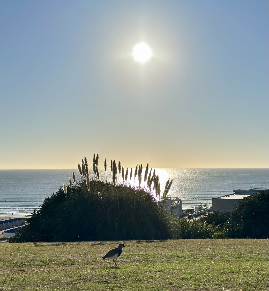 Muy buen viernes con la mejor energía! A disfrutar que la vida es hoy
