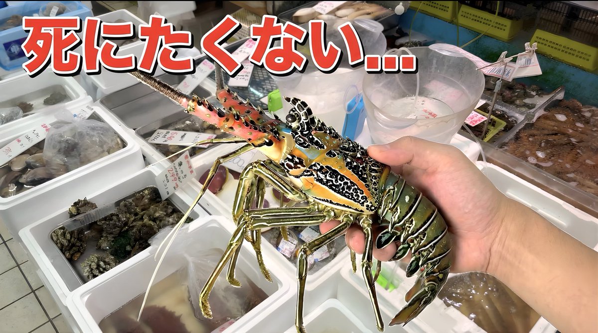 なんじゃ〜このエビわぁぁあッ⁉️
