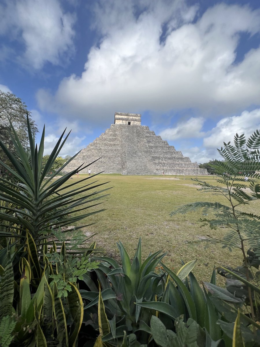 0xRodo's tweet photo. When this price action depresses you, it might be a good time to step back and reflect on what really matters in life.

Exactly two years ago, I took my family on a road trip for six weeks through Yucatán creating memories that will last a lifetime.

That is real wealth. https://t.co/h2JYzHztcU