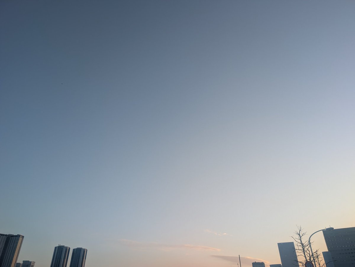 新堂敦士🦁 (@a2c_lion) / Posts / X