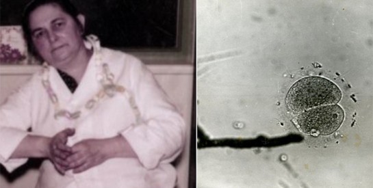 mariobianchi18's tweet photo. Il #6febbraio 1944 il ginecologo #JohnRock con #MiriamMenkin fecondò il primo uovo umano in provetta. Si trattò della fecondazione in vitro di una cellula uovo con uno spermatozoo. Ci sarebbero voluti però altri 34 anni perché nascesse la prima bimba in provetta, Louise Brown. https://t.co/5kdlgdy7pI