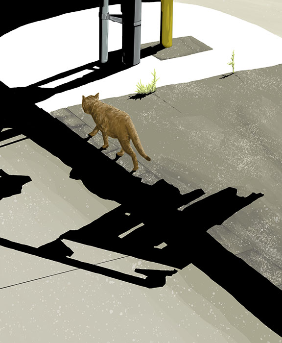 画像を2枚以上だと「画像を編集」が出ないかの実験。