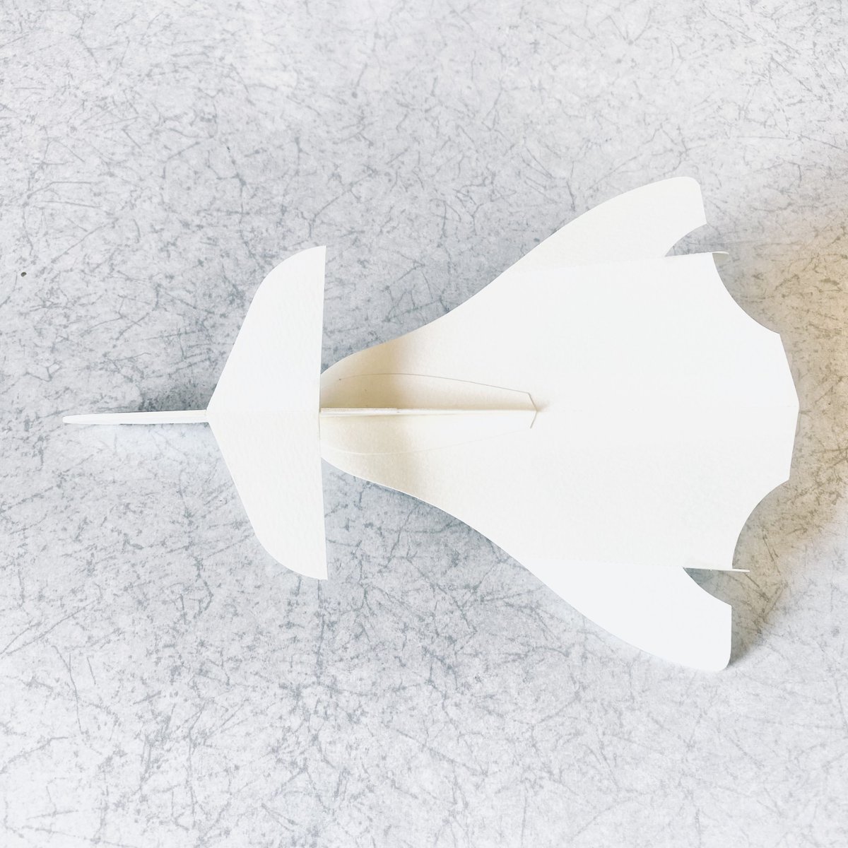 カナード付きオージー翼の紙飛行機(Close-coupled canard Ogee wing paper glider)。

効率よりロマンの機体w
#ペーパーグライダー