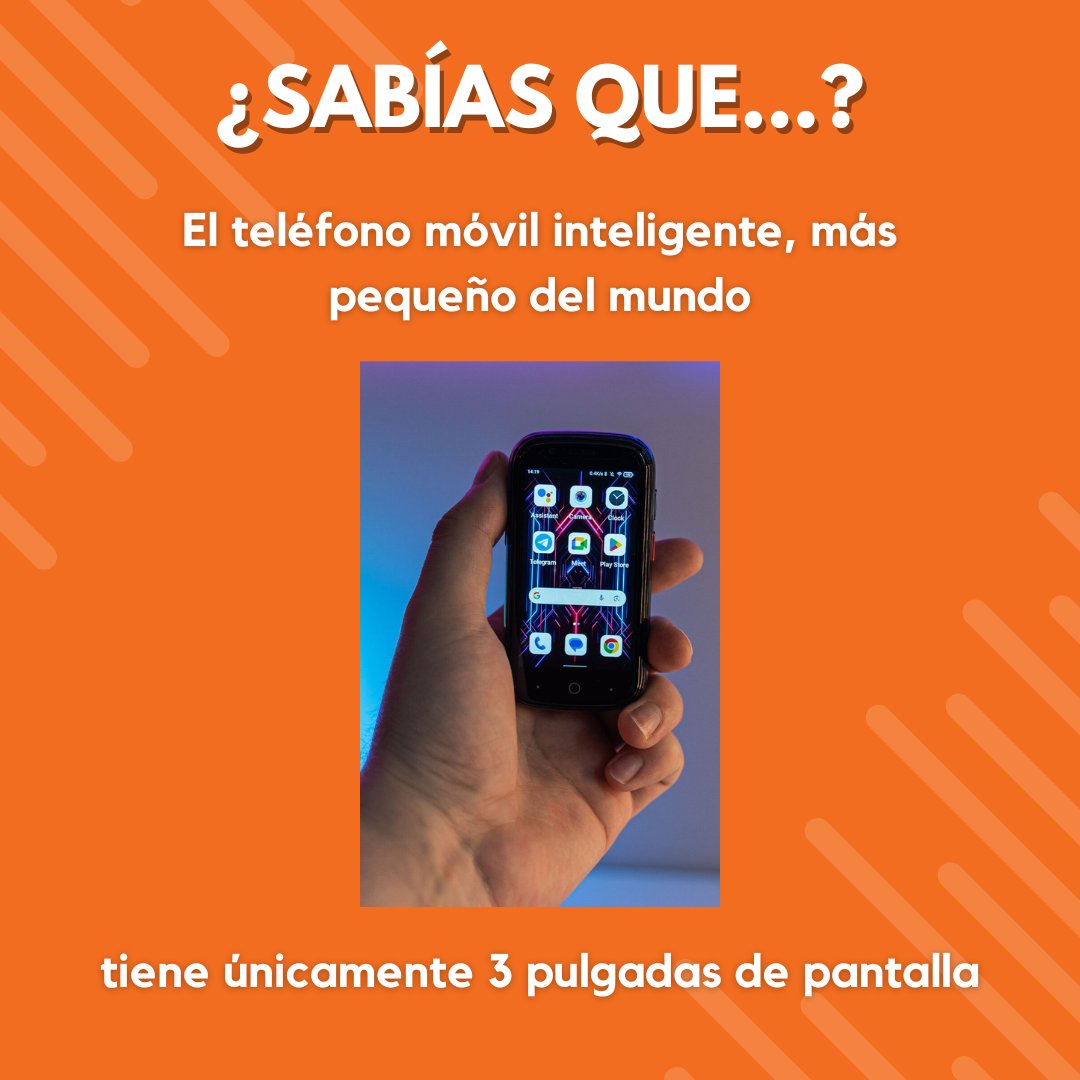 TriBanda tweet media