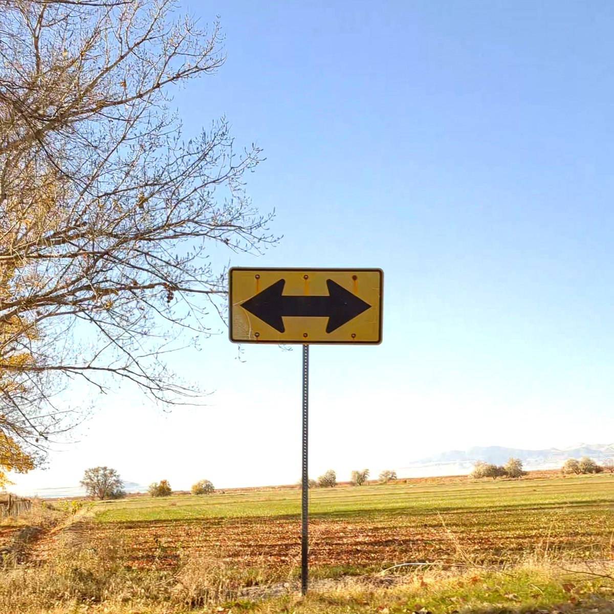 iiiypad records tweet media