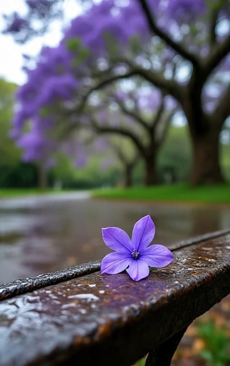 يا رب أن يشملنا عفوك، وتحاوطنا بركتك
اليوم وكل يوم..الحمدلله 🌸