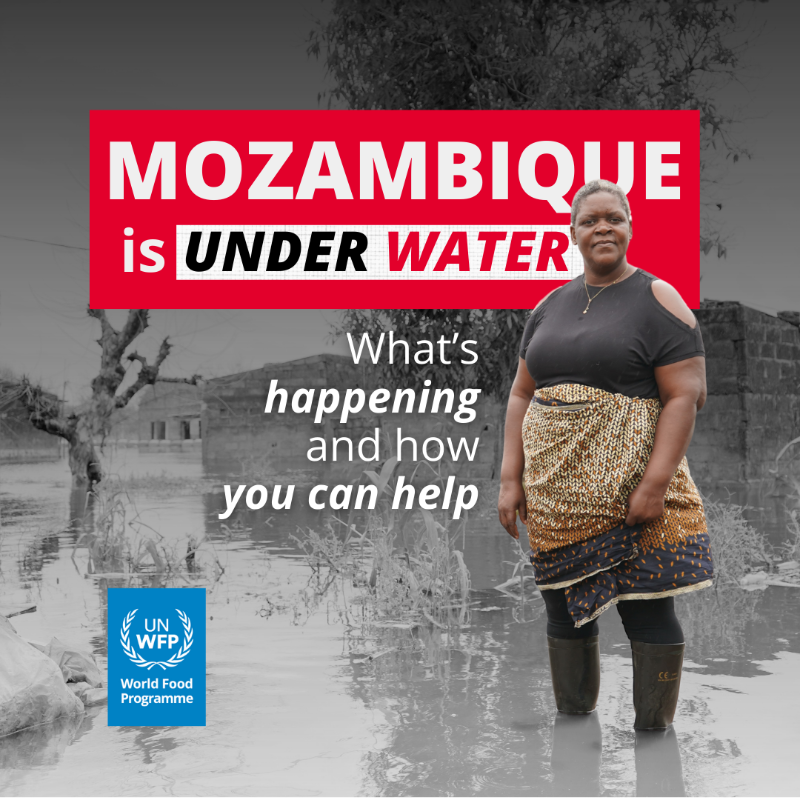 WFP's tweet photo. 🔴 WFP is on the ground delivering critical food assistance to families affected by devastating floods in #Mozambique.

Swipe to learn more about what’s happening and how you can help 👉