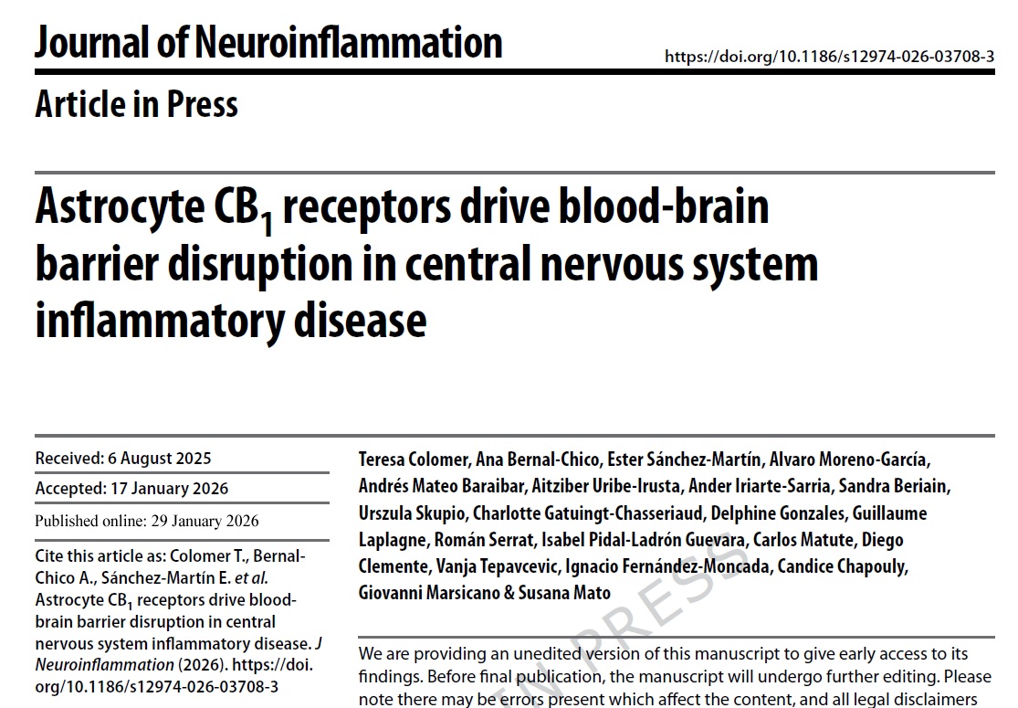 DrDiegoClemente's tweet image. New collaborative paper published in J NEUROINFLAMMATION, led by @SusanaMato74 , analyzing the role of astrocyte CB1R signaling in neuroinflammation in experimental #MS.
Many thanks to Susana for inviting us to modestly contribute to this excellent work
📄 rdcu.be/e2tOV