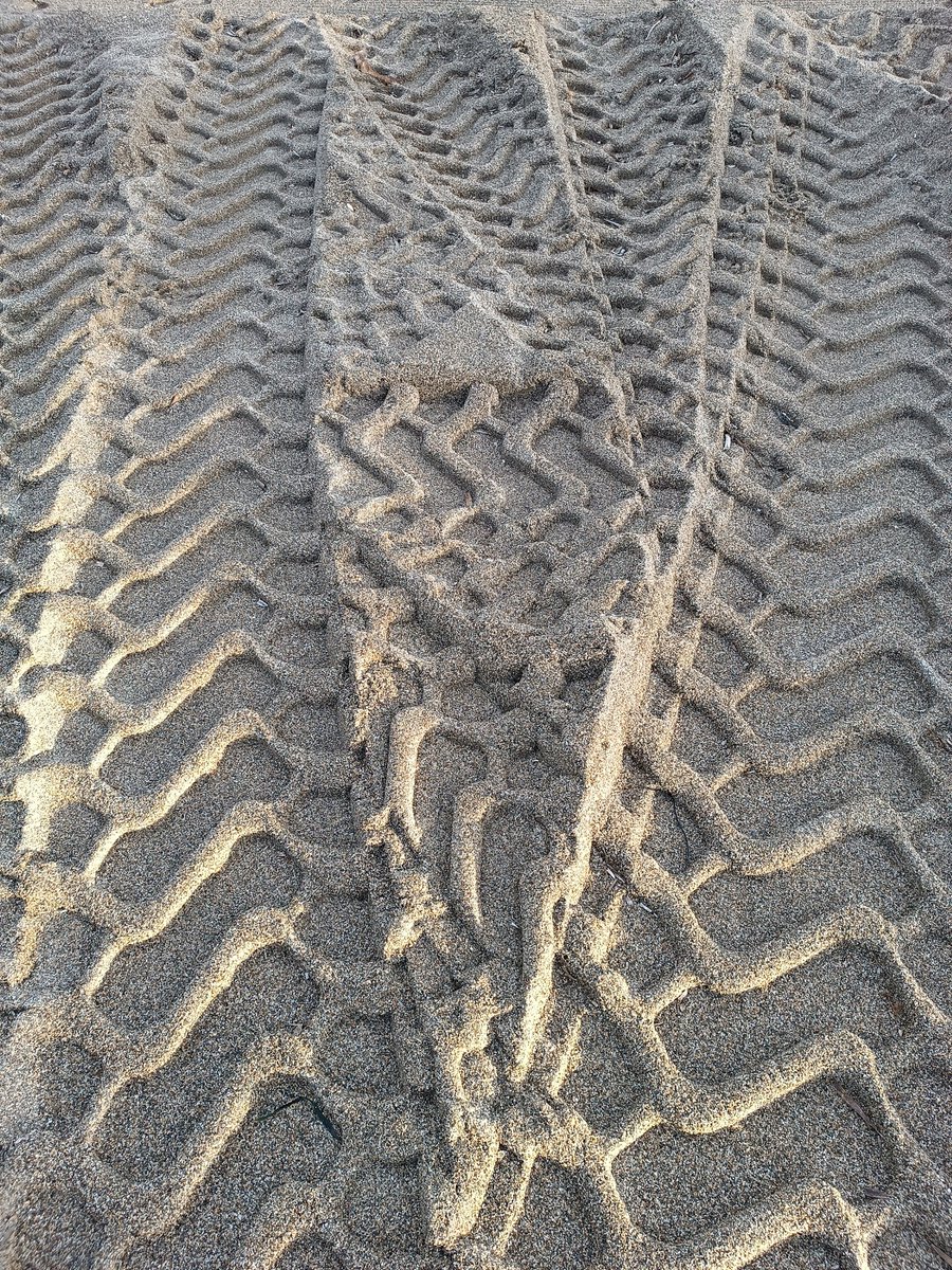 alisondodi's tweet image. #Undulating patterns on the beach
