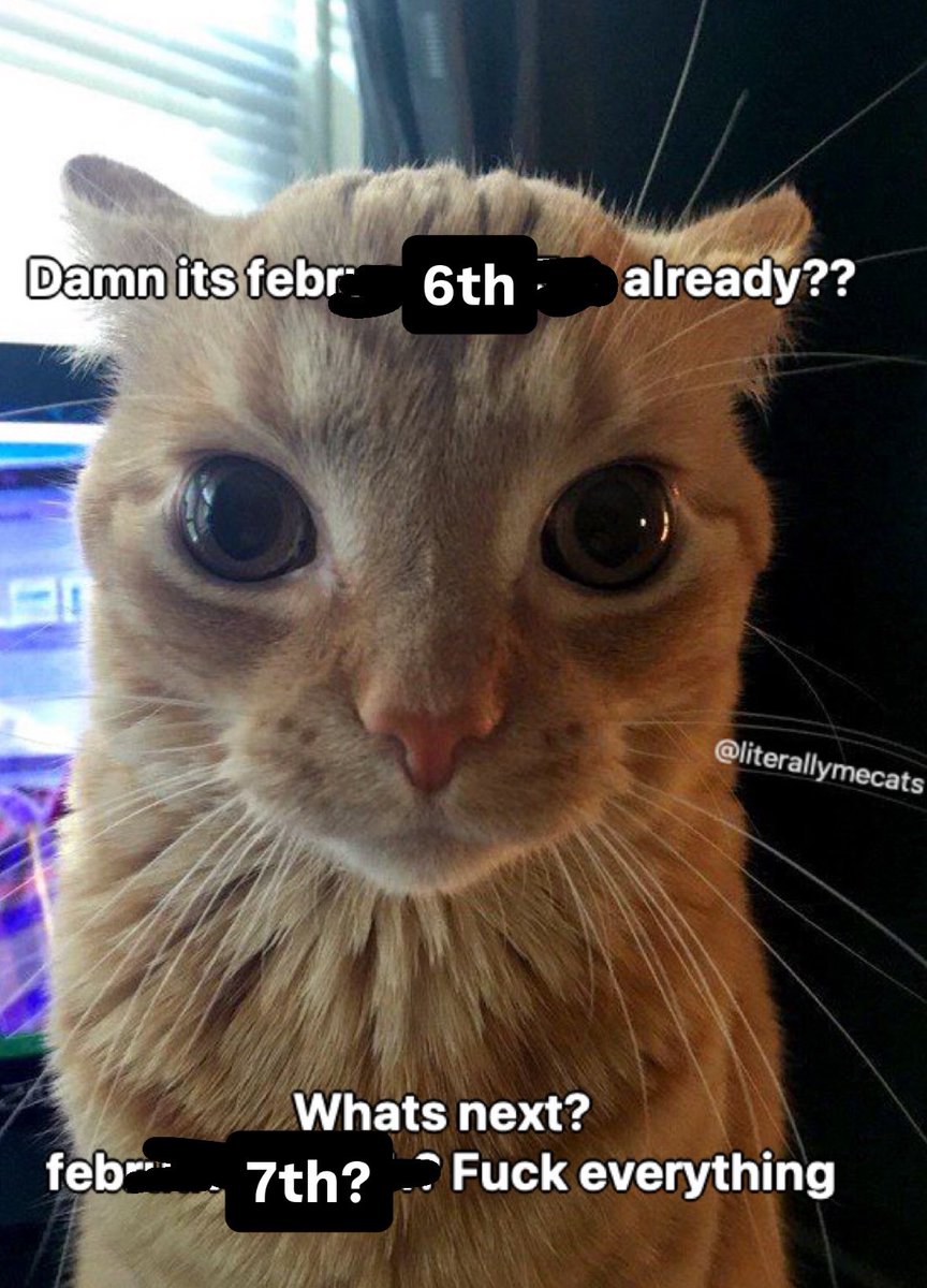 literallymecats's tweet photo. https://t.co/1gSOmQQEpd