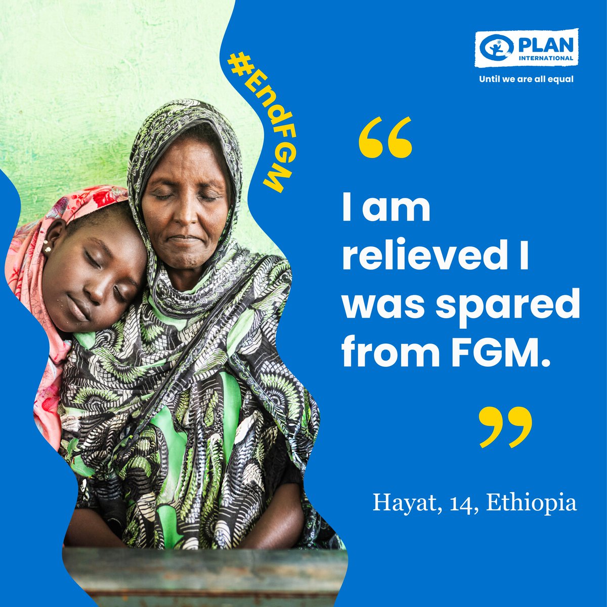 Plan MEESA tweet media