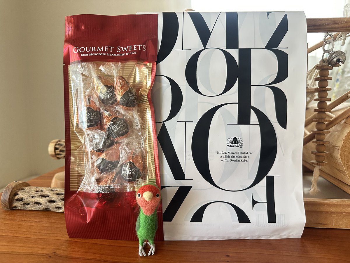 チョコレートはしばらく買わない宣言して間もなく🍫ෆ˚* 花鳥園に