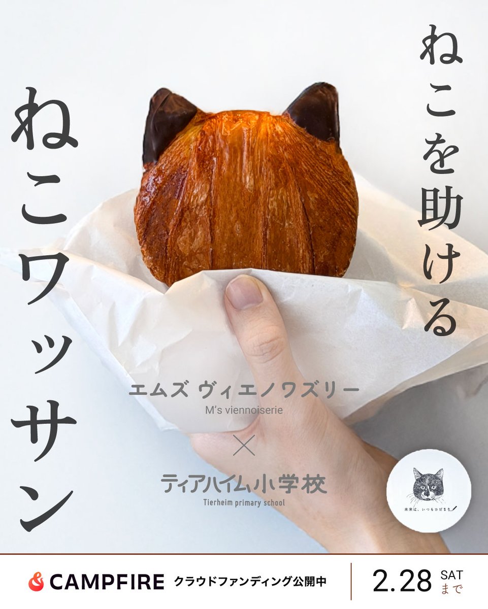 保護ねこ施設 ティアハイム小学校 tweet media