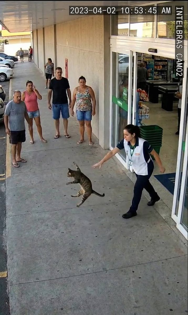 E daí? Lamento. Quer que eu faça o quê? tweet media