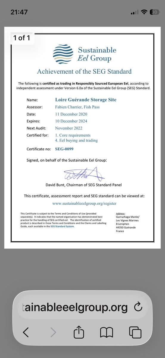 leerust1966's tweet photo. 3/6
We’re talking a critically endangered species. SEG’s slow, sloppy recertification isn’t protection—it’s eelwashing. A “sustainability label” that doesn’t safeguard eels is worthless marketing.

#EelGate 
#SaveTheEels
#Greenwashing https://t.co/xU9lK6H74d