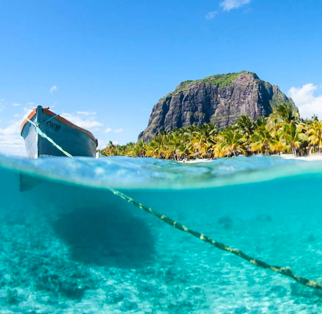 Mauritius Island tweet media