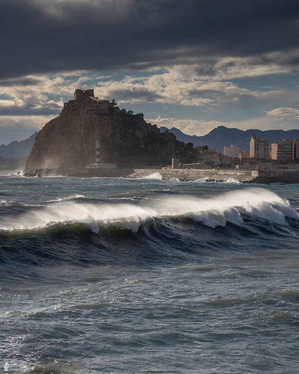 Mario Navarro tweet media